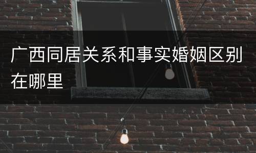 广西同居关系和事实婚姻区别在哪里