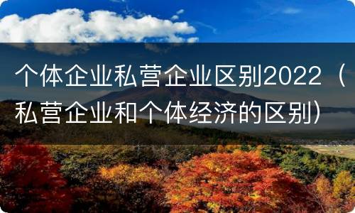 个体企业私营企业区别2022（私营企业和个体经济的区别）