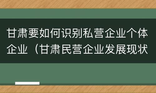 甘肃要如何识别私营企业个体企业（甘肃民营企业发展现状）