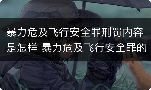 暴力危及飞行安全罪刑罚内容是怎样 暴力危及飞行安全罪的构成要件