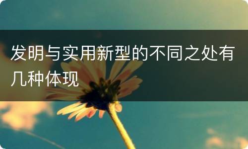 发明与实用新型的不同之处有几种体现