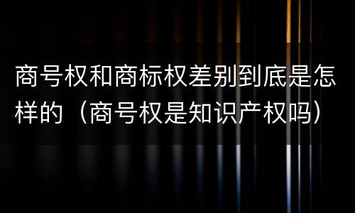 商号权和商标权差别到底是怎样的（商号权是知识产权吗）