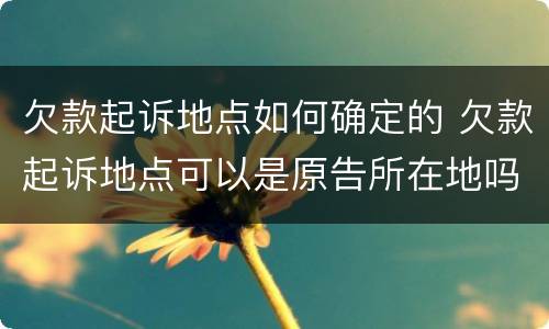欠款起诉地点如何确定的 欠款起诉地点可以是原告所在地吗