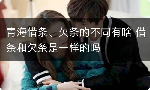 青海借条、欠条的不同有啥 借条和欠条是一样的吗
