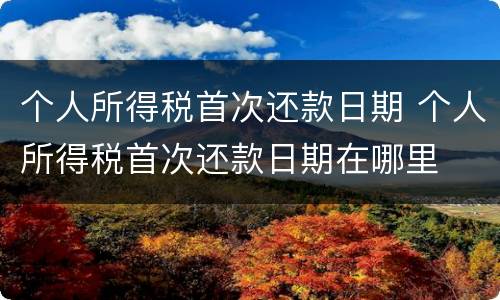 个人所得税首次还款日期 个人所得税首次还款日期在哪里