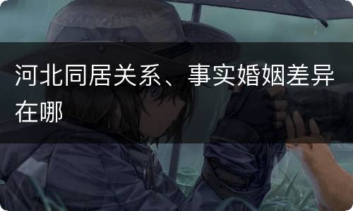 河北同居关系、事实婚姻差异在哪