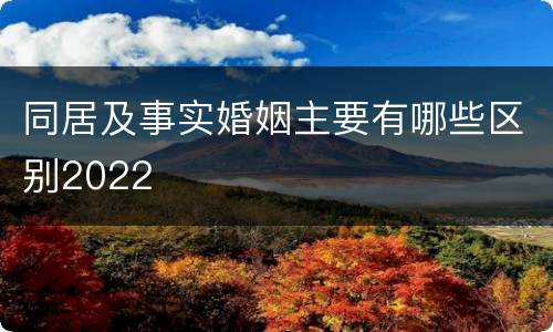 同居及事实婚姻主要有哪些区别2022