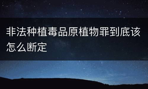 非法种植毒品原植物罪到底该怎么断定