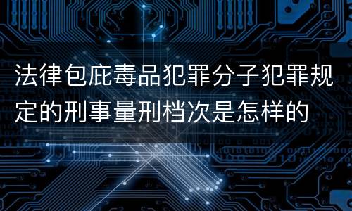法律包庇毒品犯罪分子犯罪规定的刑事量刑档次是怎样的