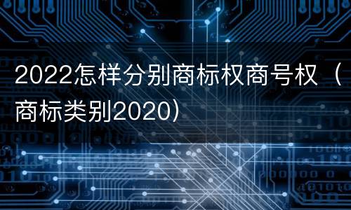 2022怎样分别商标权商号权（商标类别2020）