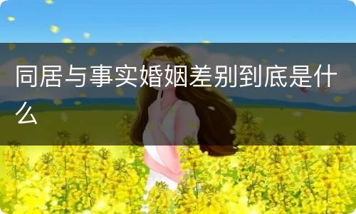 同居与事实婚姻差别到底是什么