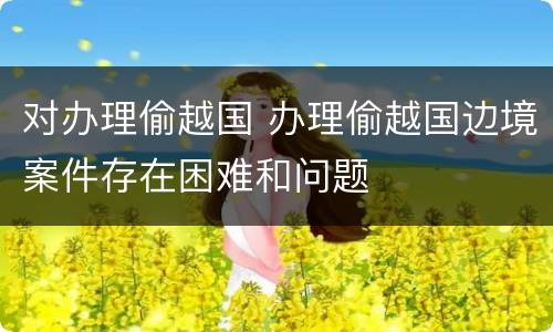 对办理偷越国 办理偷越国边境案件存在困难和问题