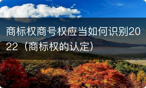 商标权商号权应当如何识别2022（商标权的认定）