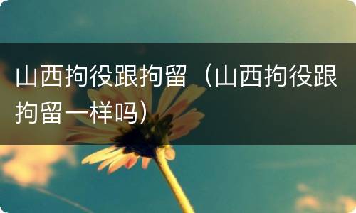 山西拘役跟拘留（山西拘役跟拘留一样吗）