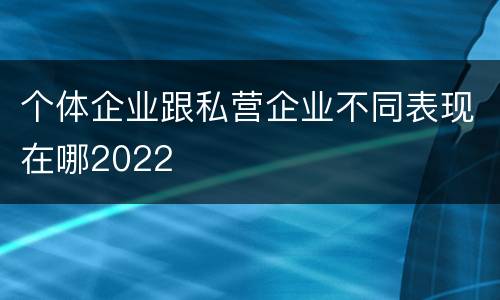 个体企业跟私营企业不同表现在哪2022