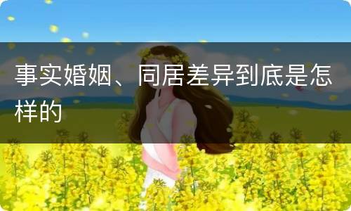 事实婚姻、同居差异到底是怎样的