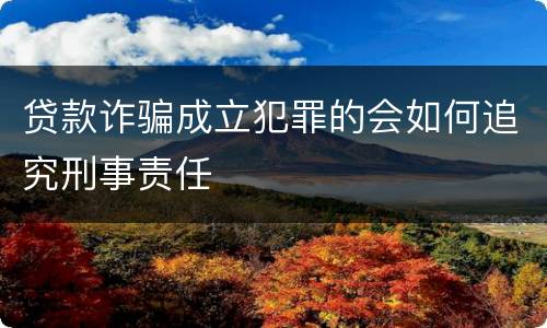 贷款诈骗成立犯罪的会如何追究刑事责任