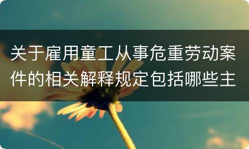 关于雇用童工从事危重劳动案件的相关解释规定包括哪些主要内容