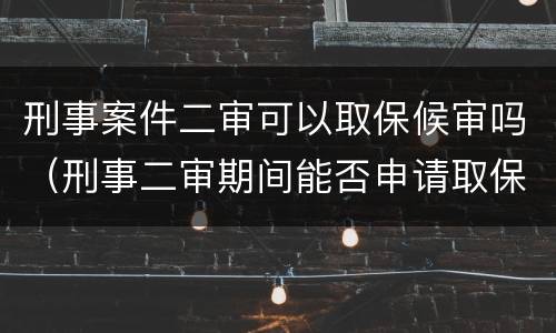 刑事案件二审可以取保候审吗（刑事二审期间能否申请取保）