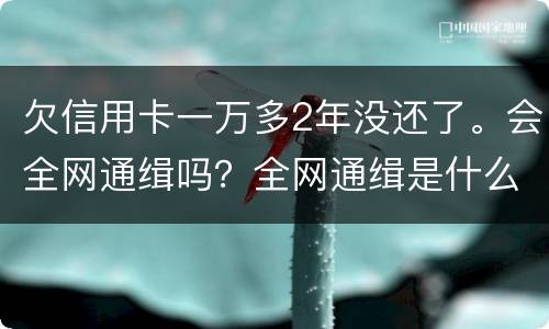 欠信用卡一万多2年没还了。会全网通缉吗？全网通缉是什么意思