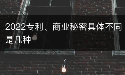 2022专利、商业秘密具体不同是几种
