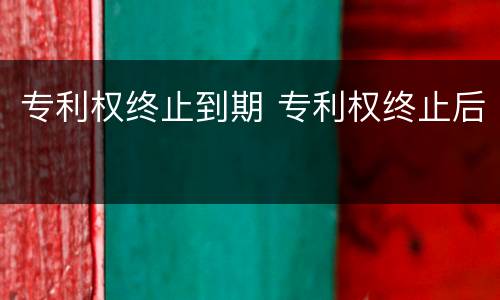 专利权终止到期 专利权终止后