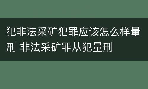 犯非法采矿犯罪应该怎么样量刑 非法采矿罪从犯量刑