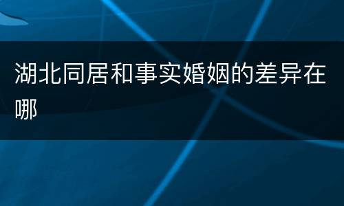 湖北同居和事实婚姻的差异在哪