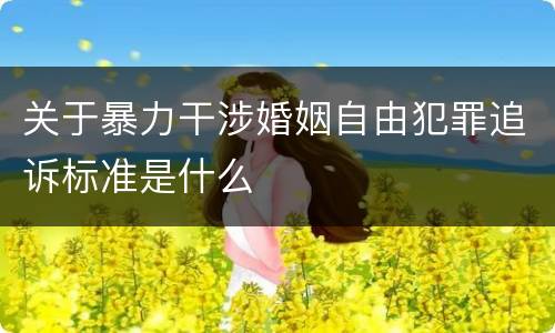 关于暴力干涉婚姻自由犯罪追诉标准是什么