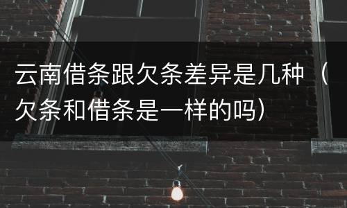 云南借条跟欠条差异是几种（欠条和借条是一样的吗）