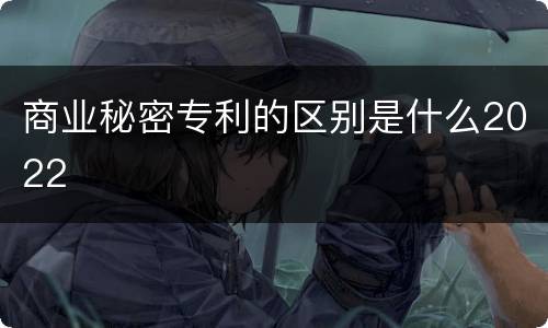商业秘密专利的区别是什么2022