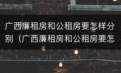 广西廉租房和公租房要怎样分别（广西廉租房和公租房要怎样分别呢）