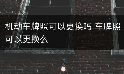 机动车牌照可以更换吗 车牌照可以更换么
