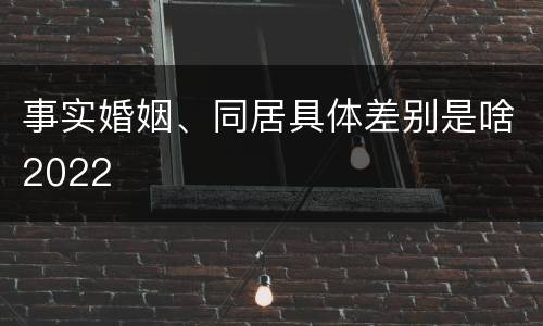 事实婚姻、同居具体差别是啥2022