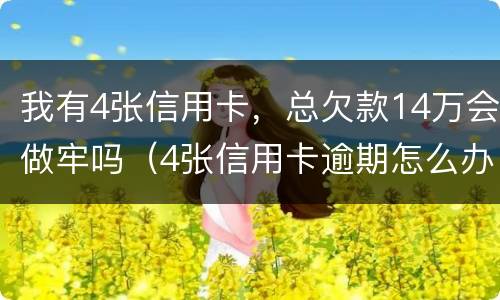 我有4张信用卡，总欠款14万会做牢吗（4张信用卡逾期怎么办）