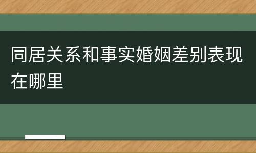 同居关系和事实婚姻差别表现在哪里