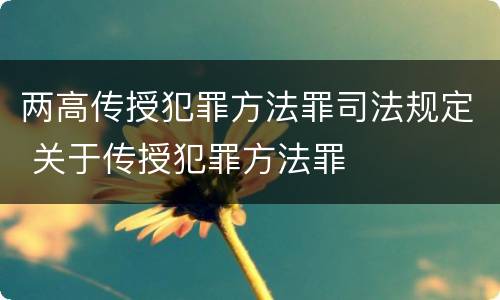两高传授犯罪方法罪司法规定 关于传授犯罪方法罪