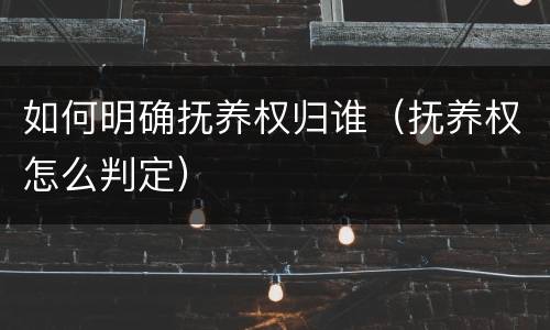 如何明确抚养权归谁（抚养权怎么判定）