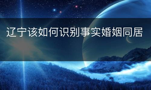 辽宁该如何识别事实婚姻同居
