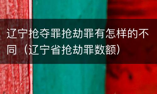 辽宁抢夺罪抢劫罪有怎样的不同（辽宁省抢劫罪数额）