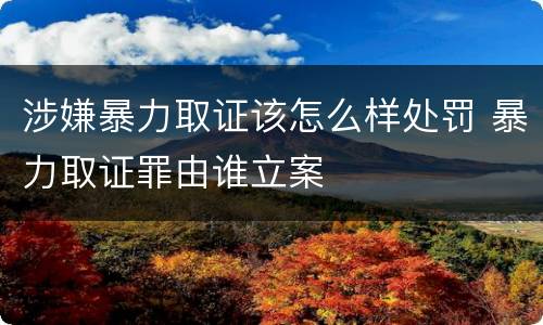 涉嫌暴力取证该怎么样处罚 暴力取证罪由谁立案