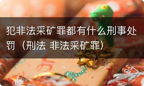 犯非法采矿罪都有什么刑事处罚（刑法 非法采矿罪）