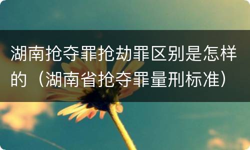湖南抢夺罪抢劫罪区别是怎样的（湖南省抢夺罪量刑标准）