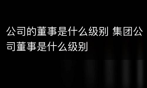 公司的董事是什么级别 集团公司董事是什么级别