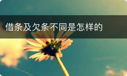 借条及欠条不同是怎样的