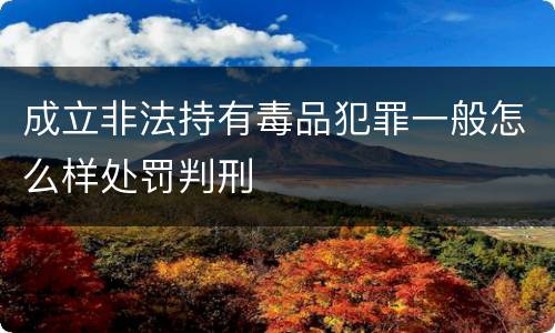 成立非法持有毒品犯罪一般怎么样处罚判刑