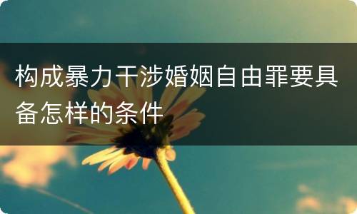 构成暴力干涉婚姻自由罪要具备怎样的条件