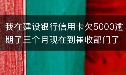 我在建设银行信用卡欠5000逾期了三个月现在到崔收部门了他们要起诉我应该怎么办