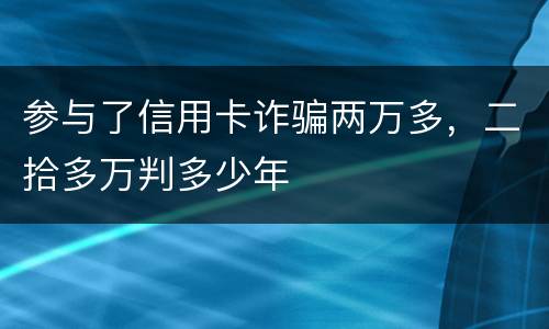 参与了信用卡诈骗两万多，二拾多万判多少年
