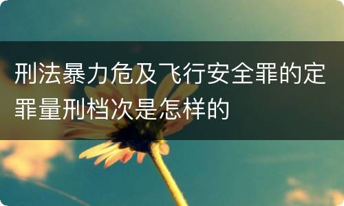 刑法暴力危及飞行安全罪的定罪量刑档次是怎样的